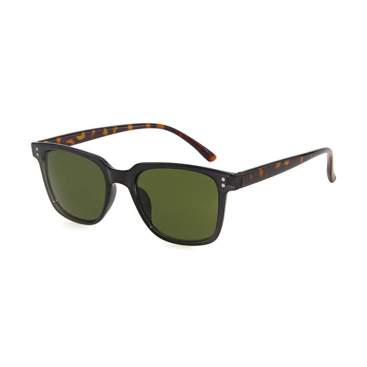 Eugenia classic mens sunglasses for outdoor-1