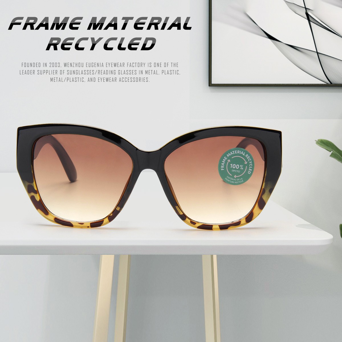 Eugenia eco-friendly recycled sunglasses marketing for recycle-1