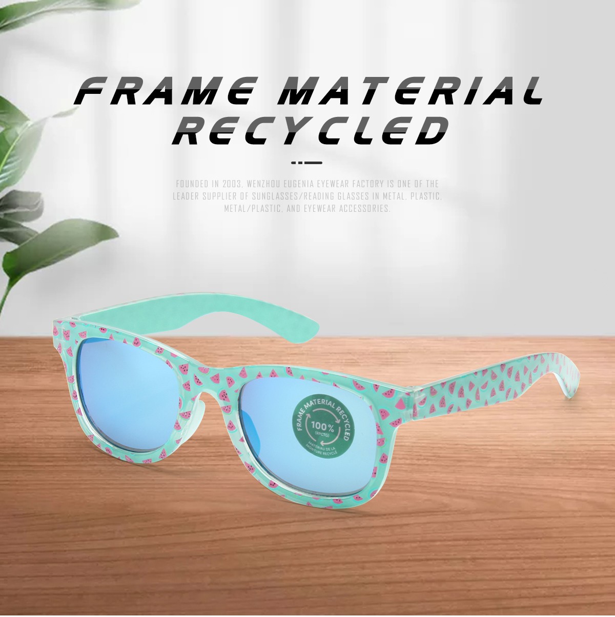 Eugenia recycled sunglasses wholesale overseas market for recycle-1